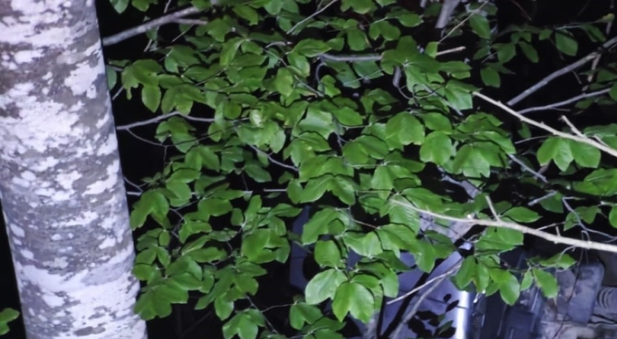 Kontrolden çıkan araç uçuruma yuvarlandı: 3 yaralı