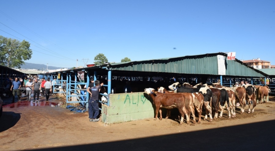 Yıldırım Kurban Bayramına hazır