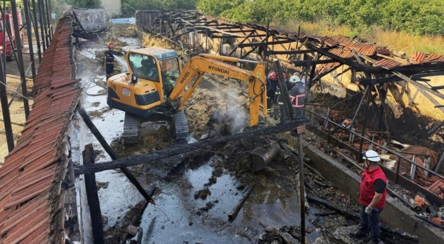 Bayrama iki gün kala yürek yakan yangın: Kurbanlıklar telef oldu