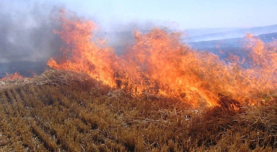 Karacabey'de ateş ve mangal yakmak yasaklandı