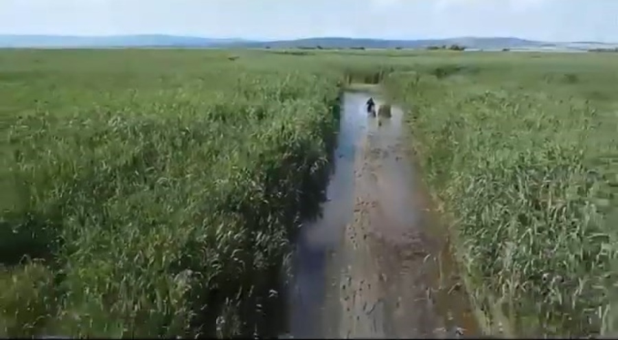 Bursa'da Sülük toplamak için gitti kayboldu