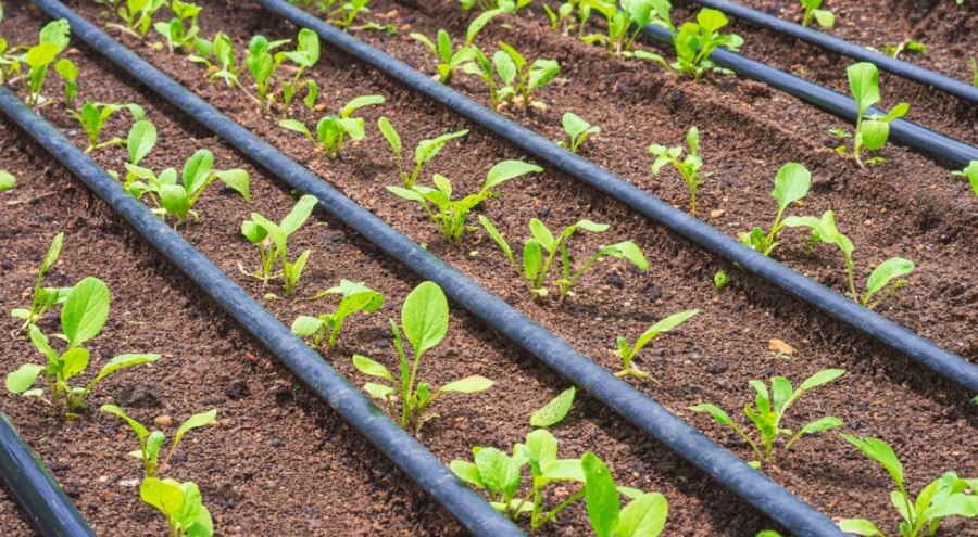 Büyükşehir'den kırsal kalkınmaya önemli destek