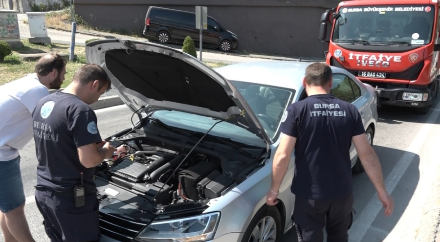 Yavru kedi, trafiği kilitledi