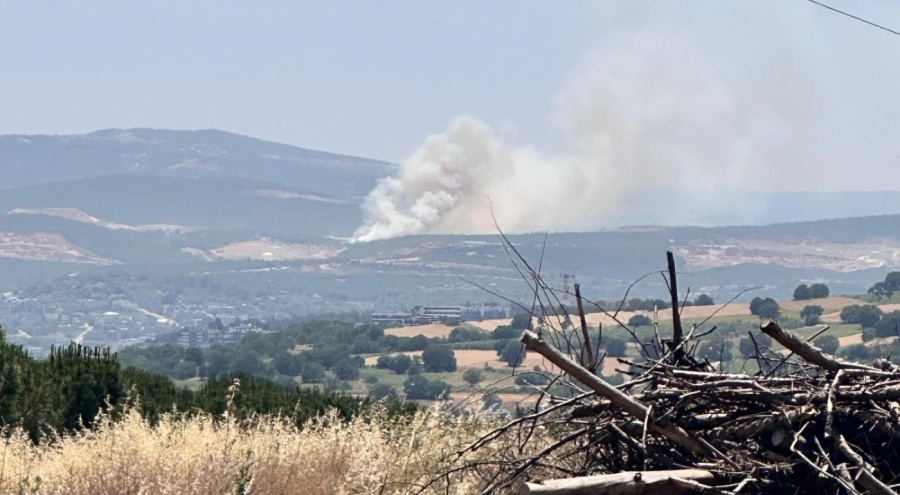 Bursa'da Kayapa bölgesinde orman yangını