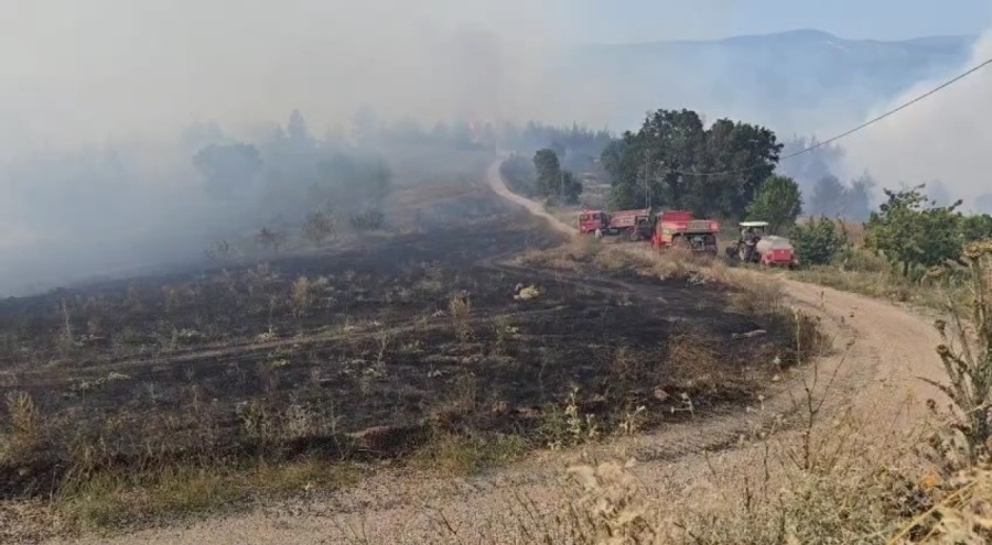 Bursa'daki o köy yangın sebebiyle tahliye ediliyor