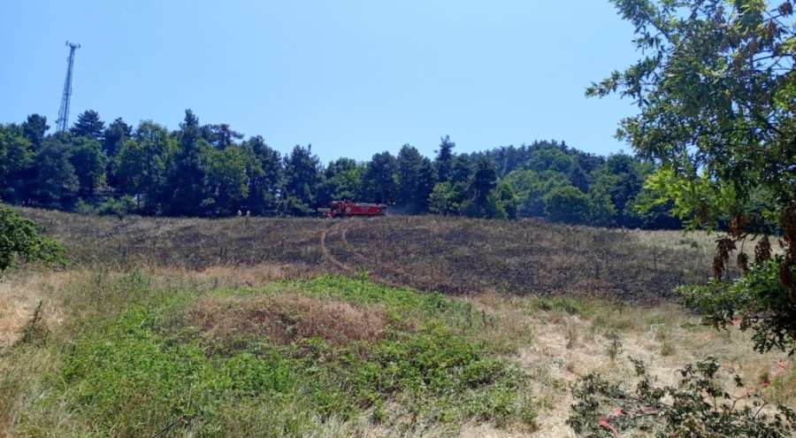 Dağyenice'de 25 dönüm küle döndü