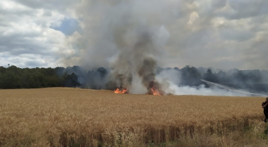 30 dönümlük buğday tarlası küle döndü