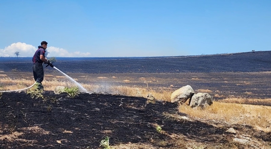10 bin dönümlük arazi alevlere teslim oldu