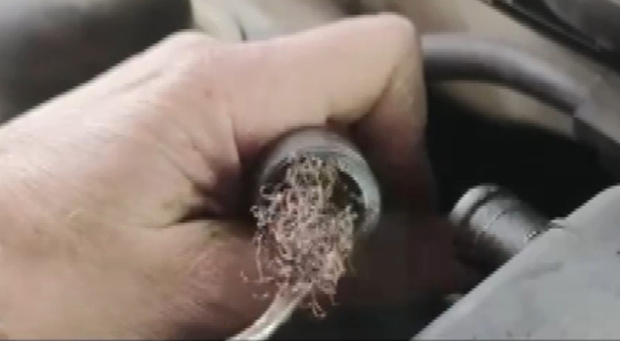 Pes dedirten görüntü: Otomobilin motorundan bulaşık teli çıktı