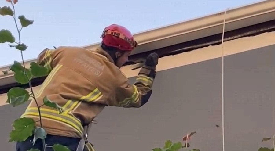 Çatıya sıkışan kuş itfaiye tarafından kurtarıldı