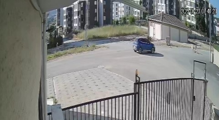 Bursa'da kangal dehşeti...O anlar kamerada