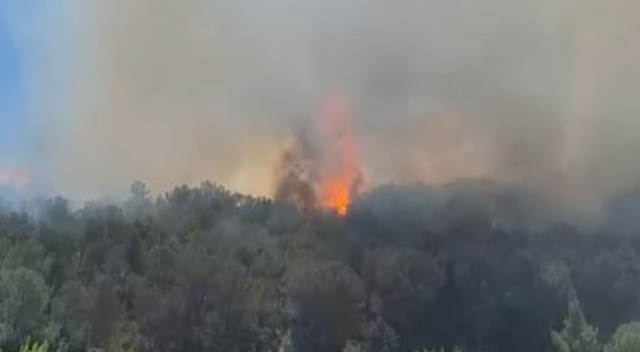 Bursa'da orman yangını köydeki evlere sıçradı...Büyük panik yaşanıyor
