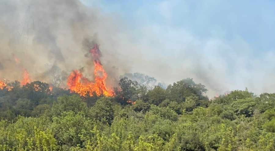 Bursa'da orman yangınlarının ardı arkası kesilmiyor