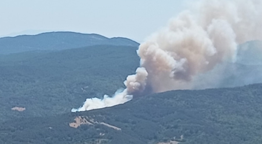 Bursa'da orman yangını: Havadan ve karadan müdahale ediliyor