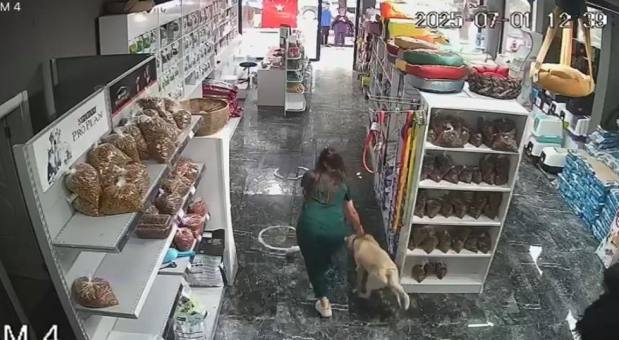 Bursa'daki depremde tedavi gören köpeği içeride bırakmadı