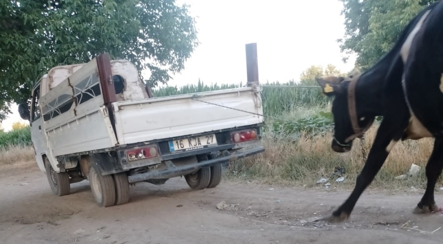 Bursa'da Böyle vicdansızlık görülmedi
