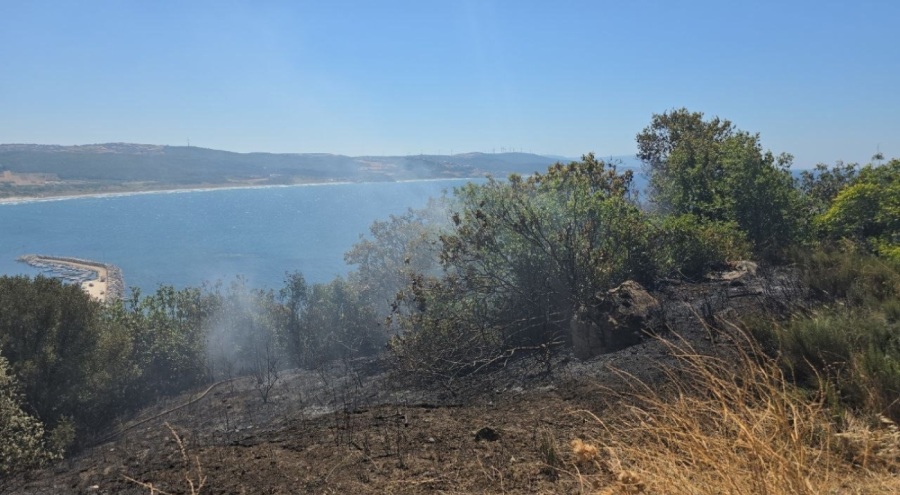 Bursa'da Yangına zamanında müdahale buğday tarlasını kurtardı