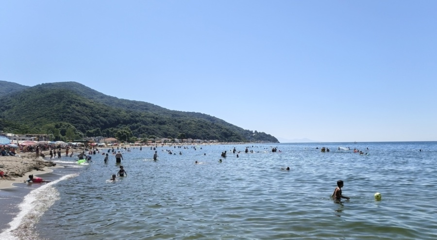 Bursa sahillerinden sevindiren haber