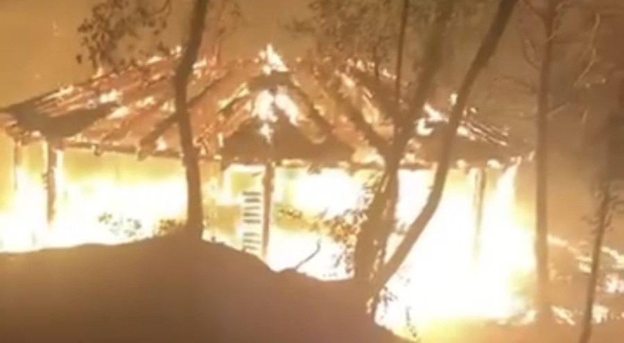 Bursa'da piknikçilerin söndürmeden bıraktığı ateş ormanı küle çeviriyordu