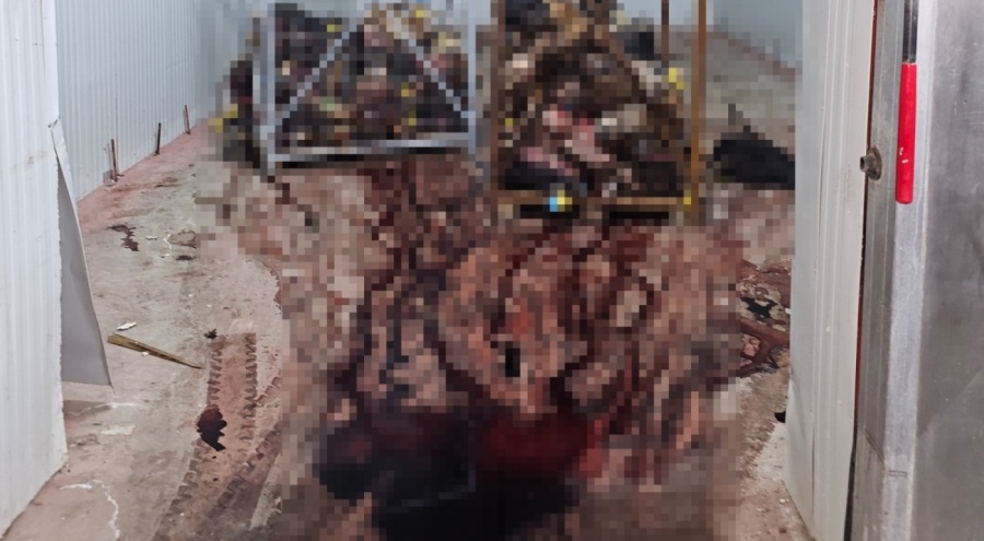 Bursa'da istiflenmiş çok sayıda hayvan kafası bulundu