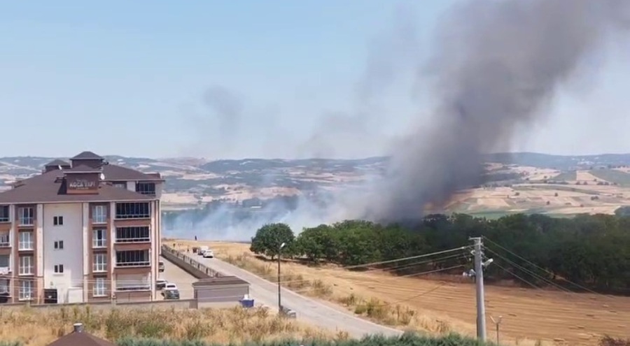 Bursa'da korkutan anız yangını