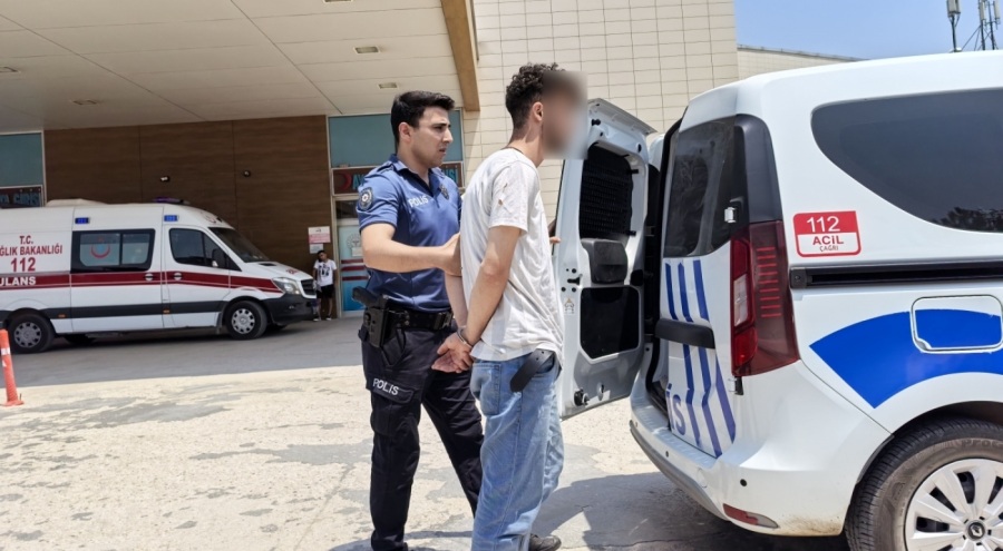 Kendini serinletmeyen bahçıvanı darp etti