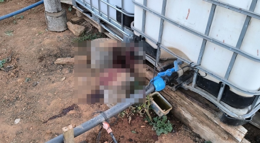 bahçe sulama kavgası kanlı bitti: Komşusunu öldürüp, eşini yaraladı