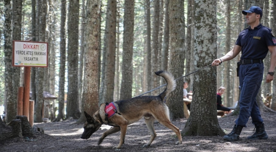 Uludağ'ın ormanlarında jandarmadan 24 saat motorize devriye