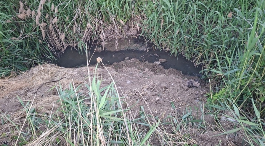 Dereye akan lağım suyu, mahalleliyi nefes alamaz hale getirdi