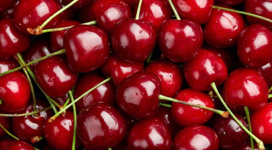 Zirai don kirazı vurdu, geçen yıla göre 61 bin ton ihracat kaybı yaşandı