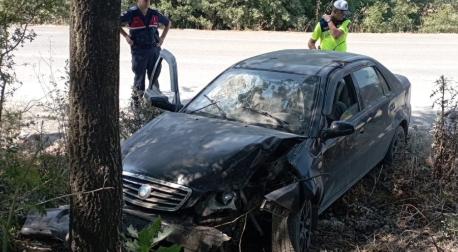 Ağaca çarpan otomobildeki 2 kişi yaralandı
