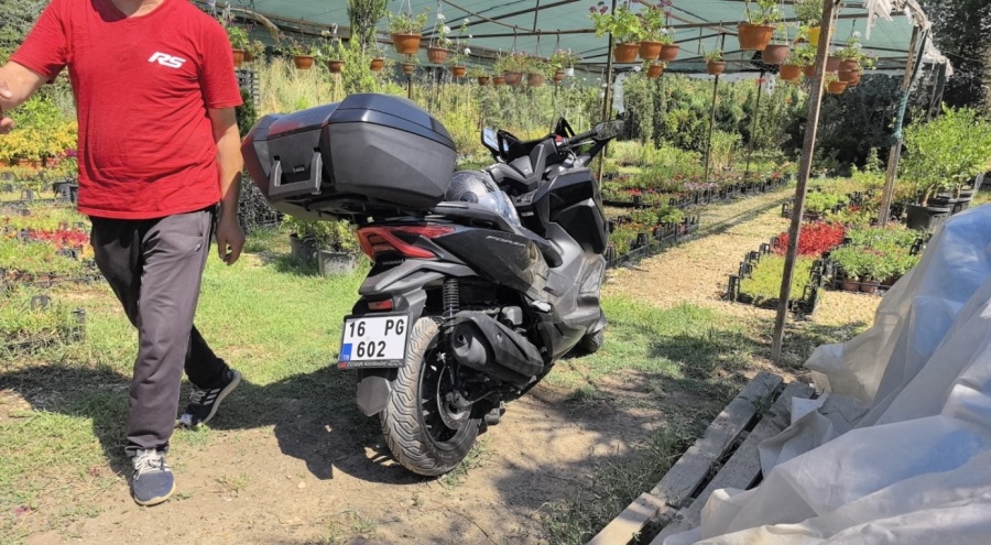 Köpeğe çarpan motosikletli yaralandı