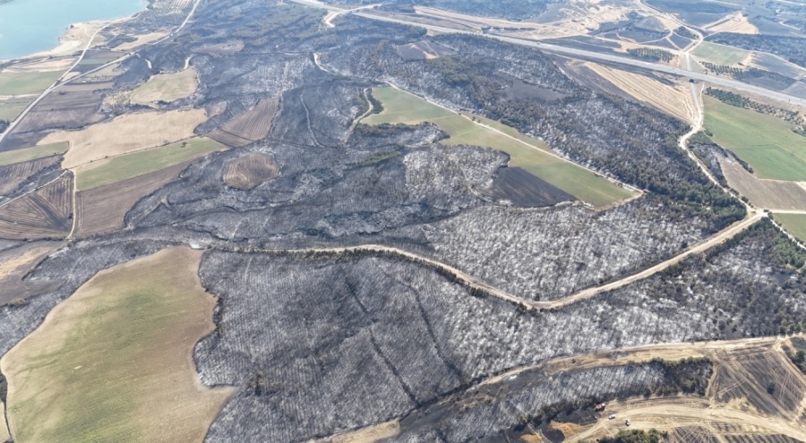 Tekirdağ'daki orman yangınında Çanakkale'de 119 futbol sahası büyüklüğünde alan yandı