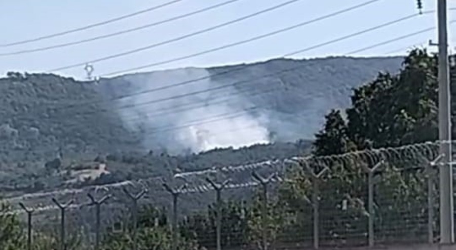 Bursa'da orman yangını