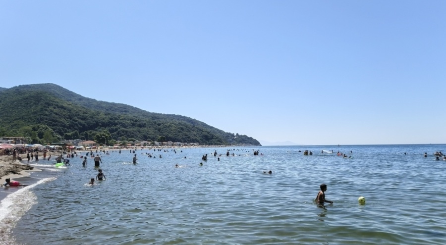 Bursa sahillerinden sevindiren haber