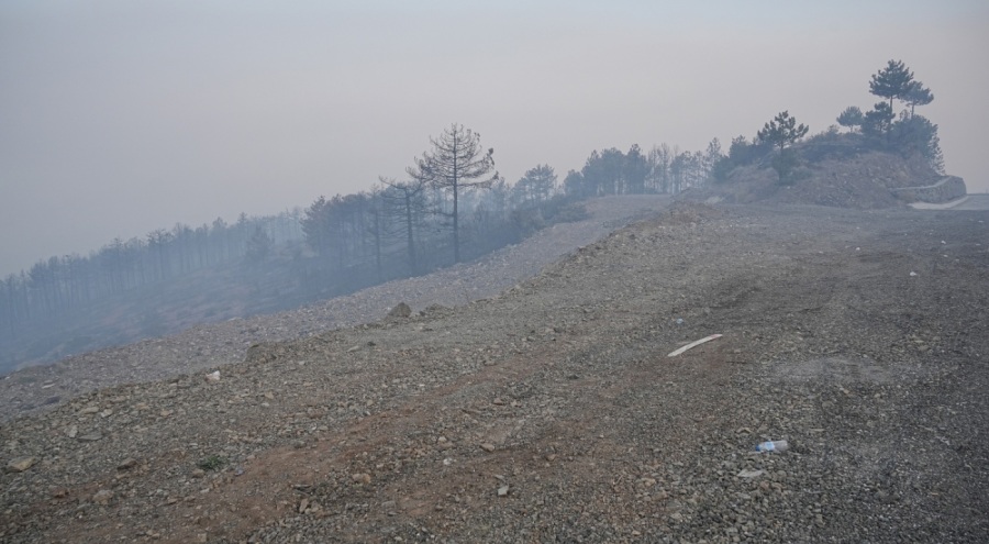 Bursa'daki orman yangını 3. gününde
