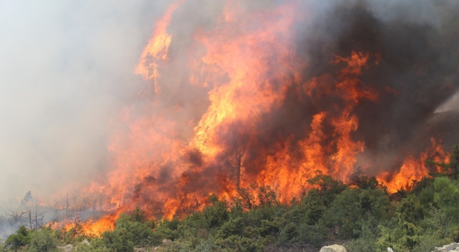 Bursa'da alevler tekrar yükseldi