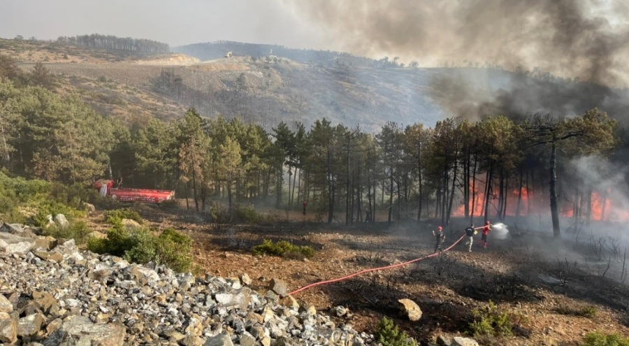 Kocaeli'den Bursa'daki orman yangınına söndürme desteği