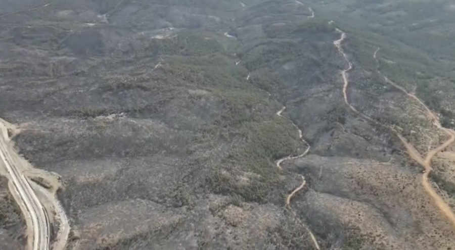 Bursa'da 5 gün sonra kontrol altına alınan yangından geriye yürek burkan görüntüler kaldı