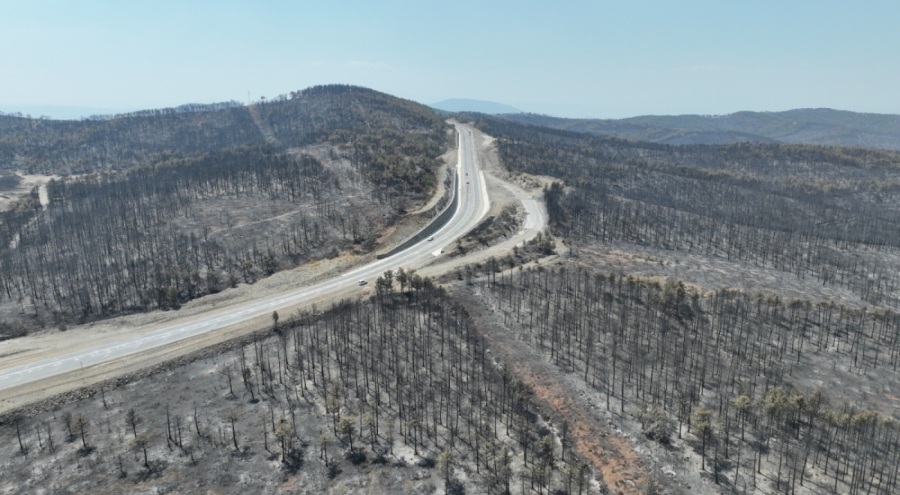 Başkan Bozbey: "10 bin futbol sahası kadar alanı kaybetmenin üzüntüsünü yaşıyoruz"