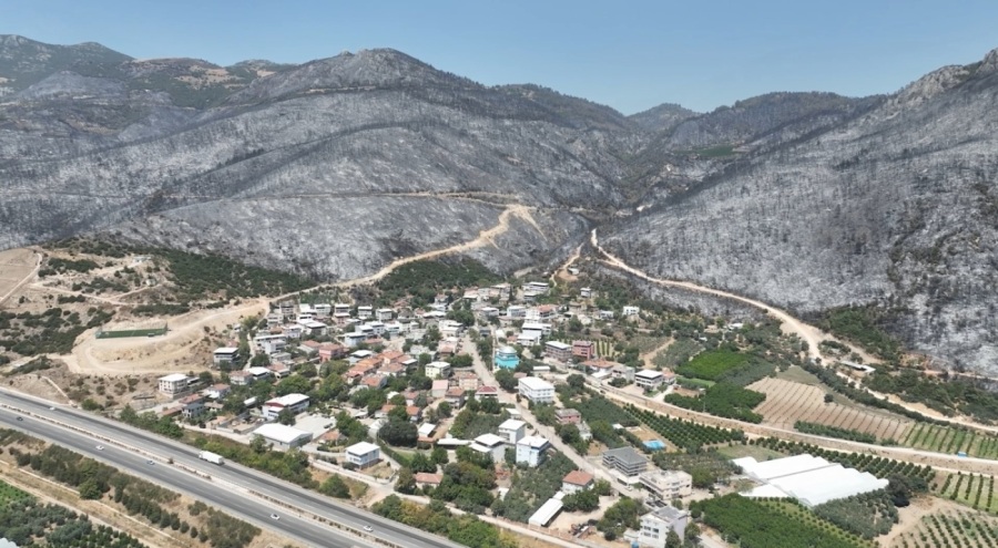 Yeşil Bursa'nın yemyeşil ormanları böyle karardı