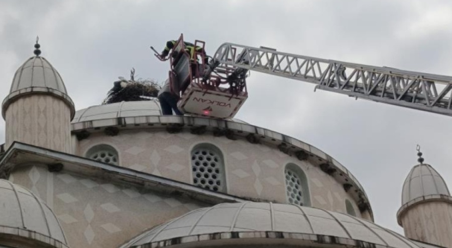 Bursa'da cami kubbesinde mahsur kalan leyleği itfaiye kurtardı