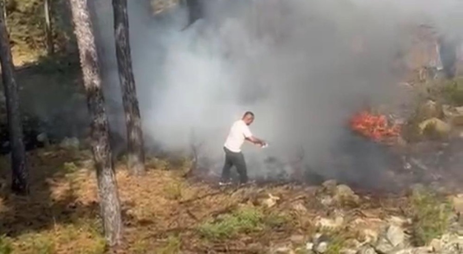 Bursa'da duyarlı vatandaşlar orman yangınını önledi