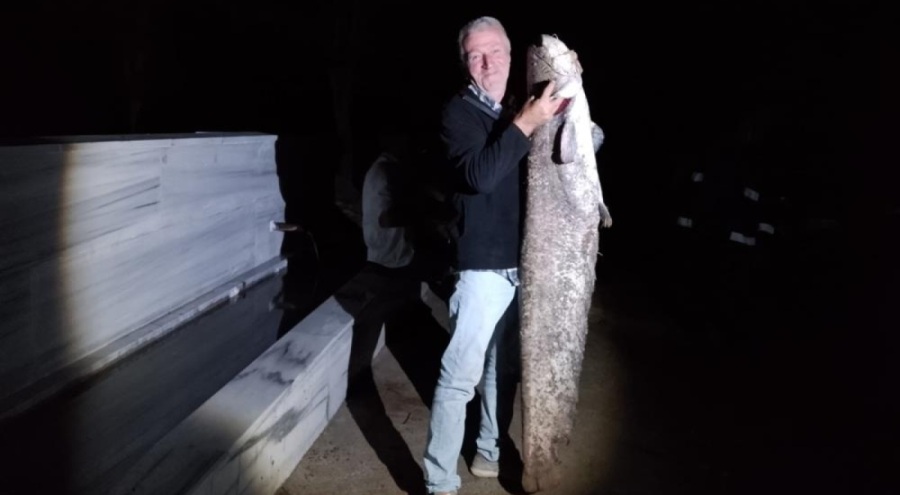 Bursa'da oltasına 40 kiloluk dev yayın balığı takıldı