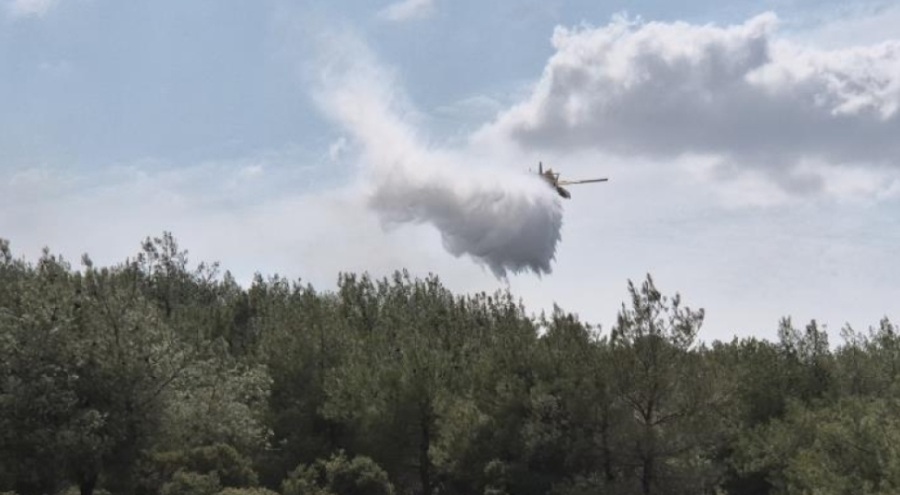 Edirne'de orman yangını! Havadan ve karadan müdahale...