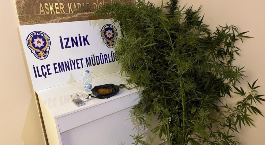 Bursa'da bahçesinde hint keneviri yetiştiren 2 kişi tutuklandı