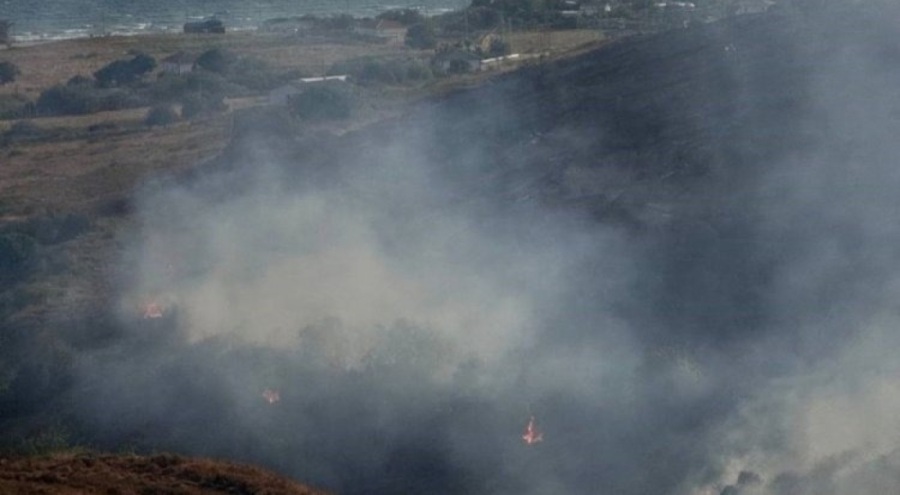 Marmara'da ada yangını!