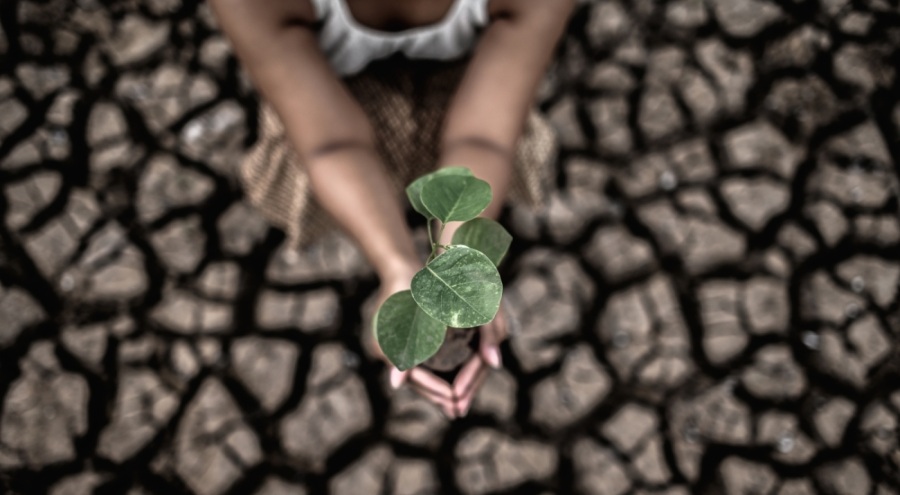 Kuraklık tehlikesine karşı su seferberliği