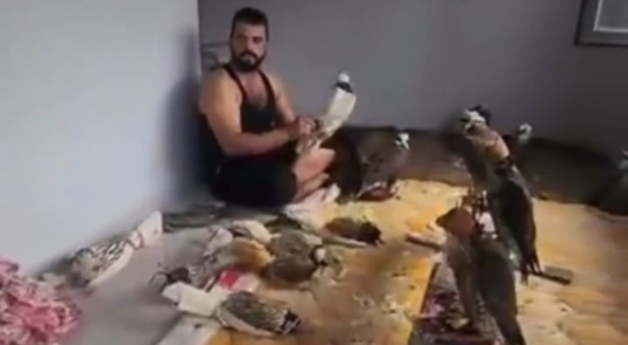 Doğan ve Şahin türü kuşları yakalayıp satan Suriyeliler, Bursa ve İstanbul'da yakalandı