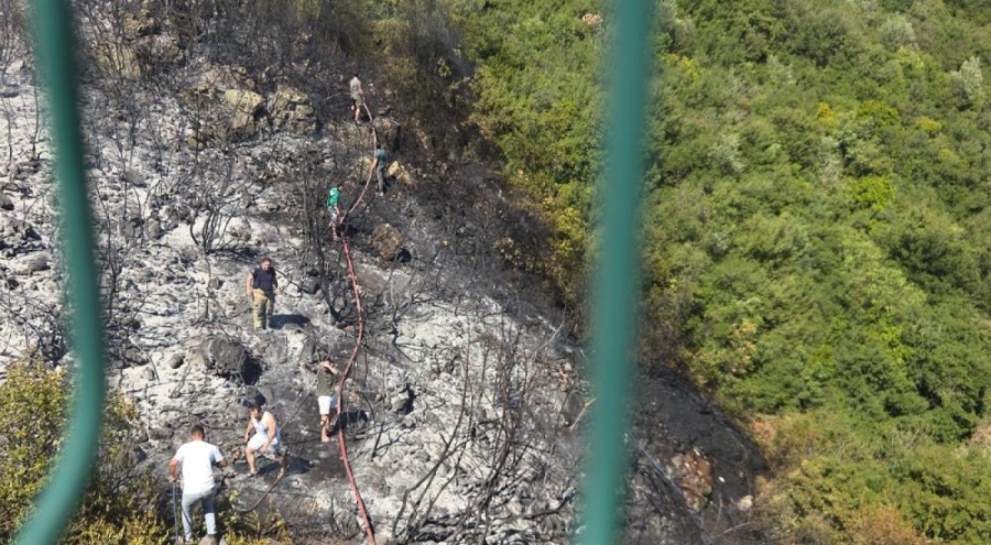 Bursa'da orman yangını korkuttu!